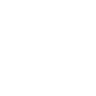 Bolt Icon
